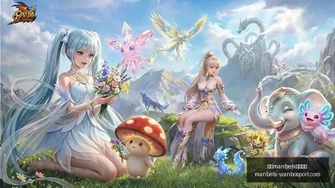 2026年河南足球：引进葡超球星保利尼奥-博亚的最新进展
